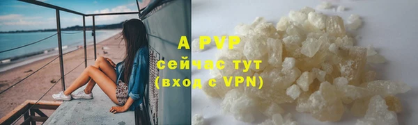 стаф Абинск
