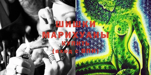стаф Абинск
